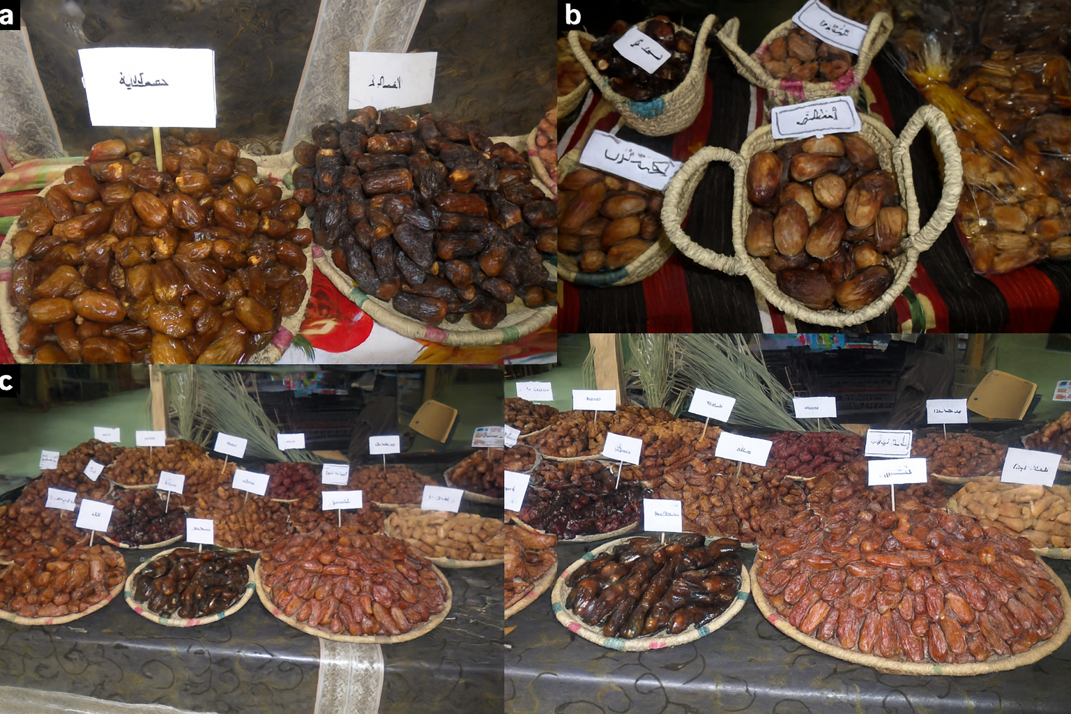 Algerian date varieties close-up